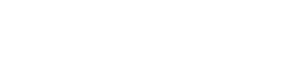 QLT PRESSURE CLEANER